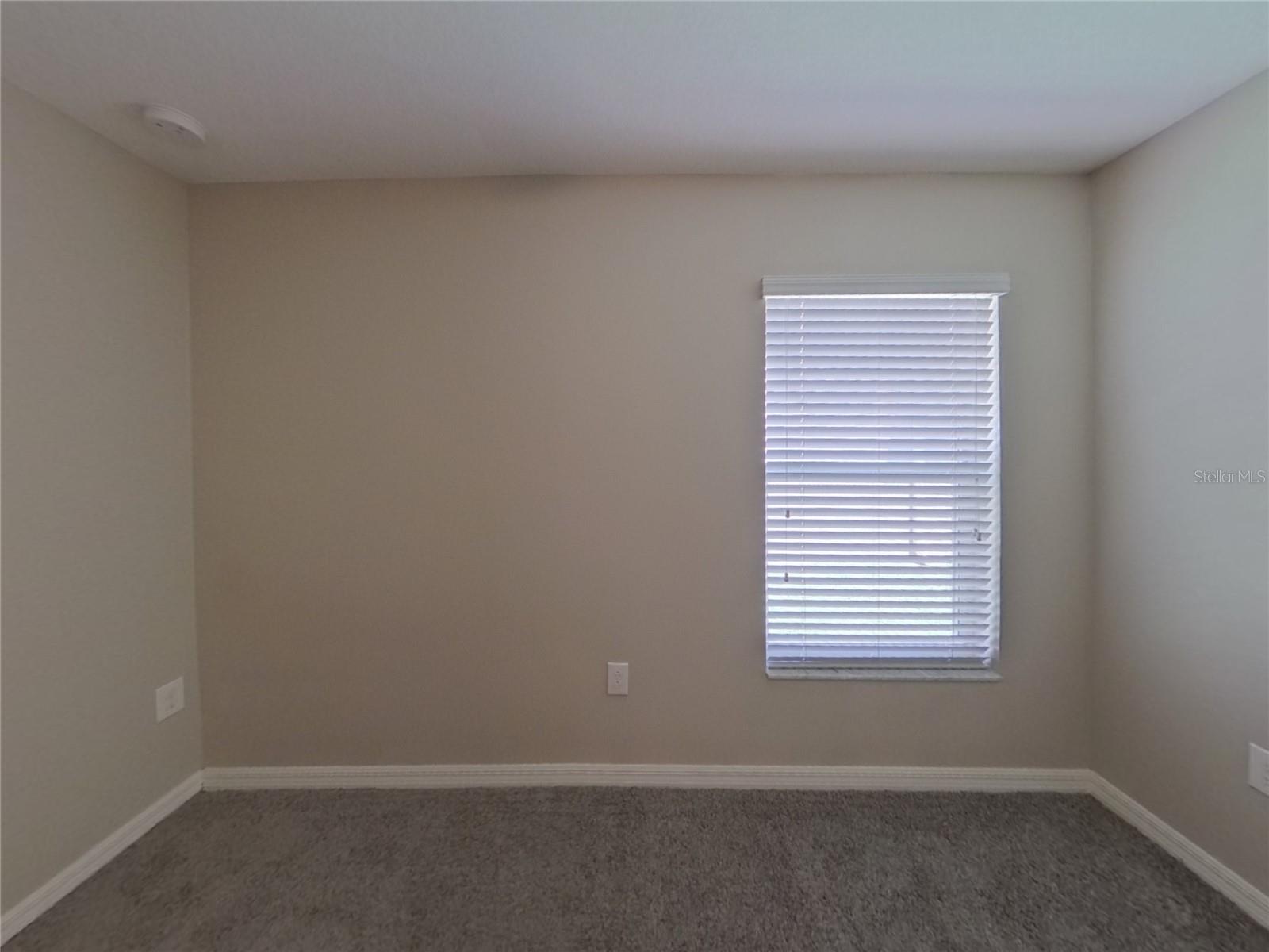Image 11 of 17 For 2026 Broad Winged Hawk Drive