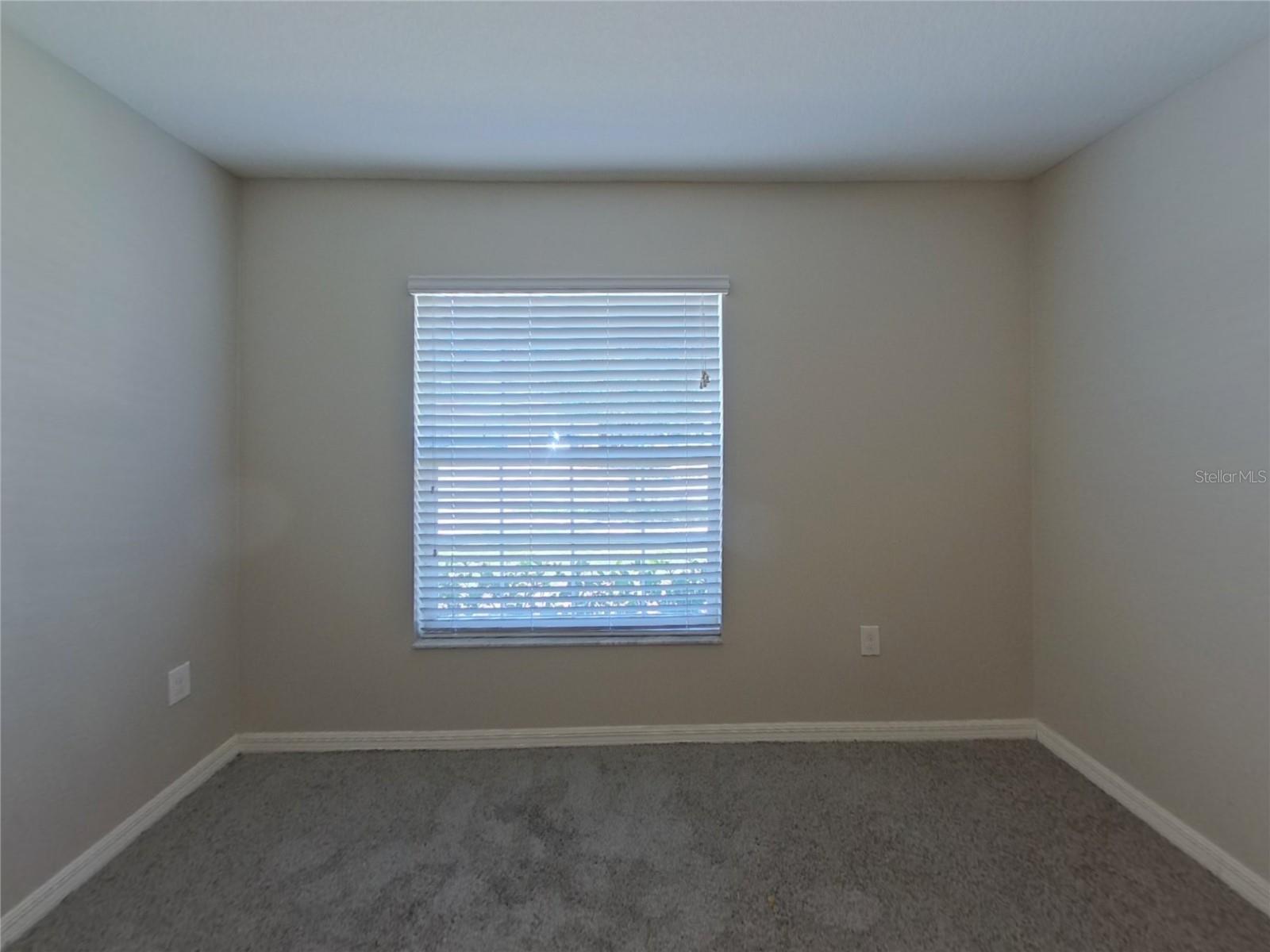 Image 13 of 17 For 2026 Broad Winged Hawk Drive