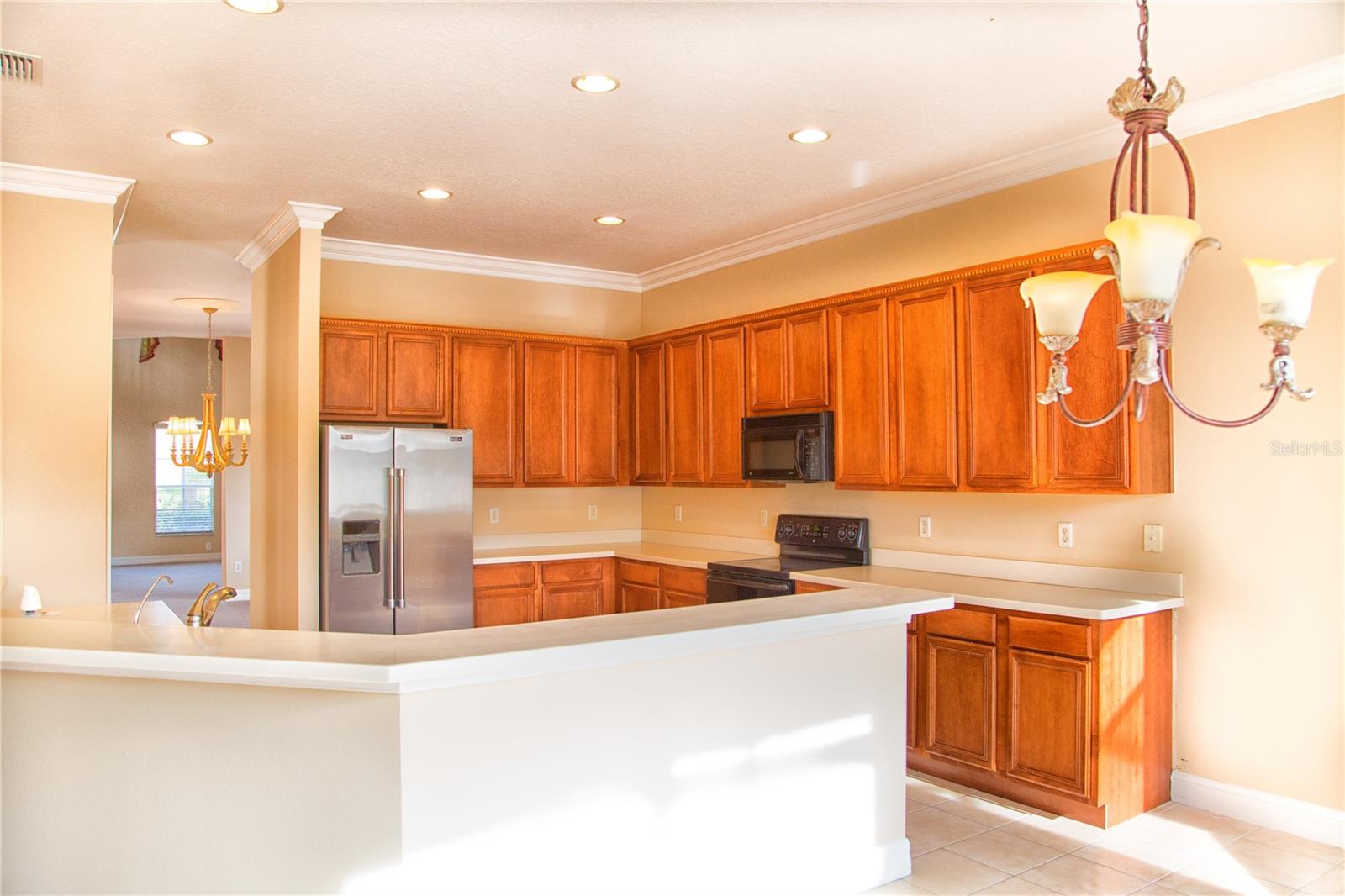 Image 15 of 79 For 18022 Cozumel Isle Drive