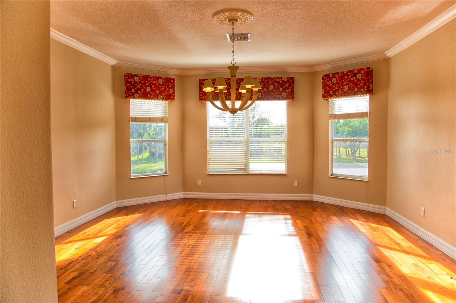 Image 42 of 79 For 18022 Cozumel Isle Drive