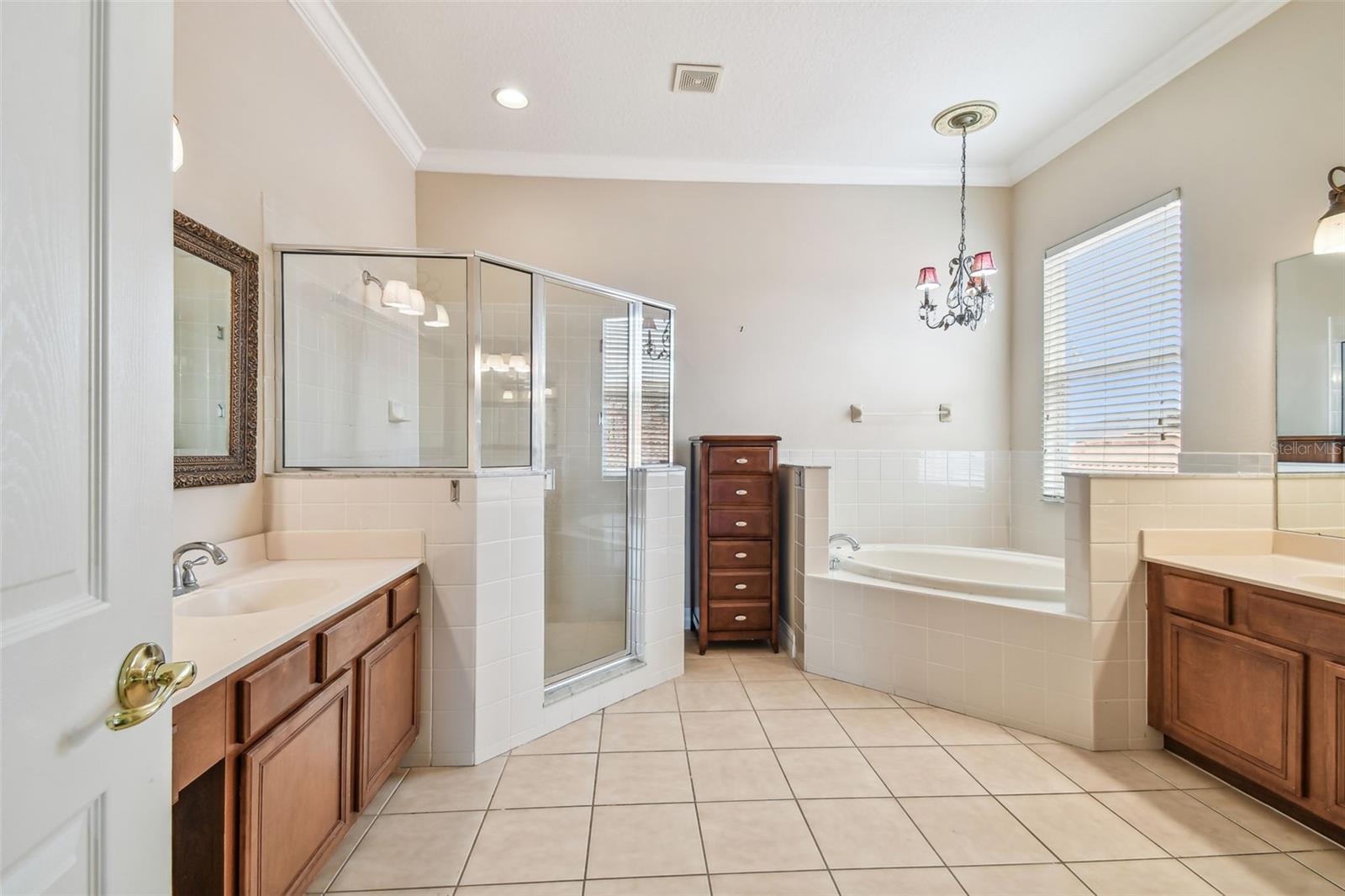 Image 48 of 79 For 18022 Cozumel Isle Drive