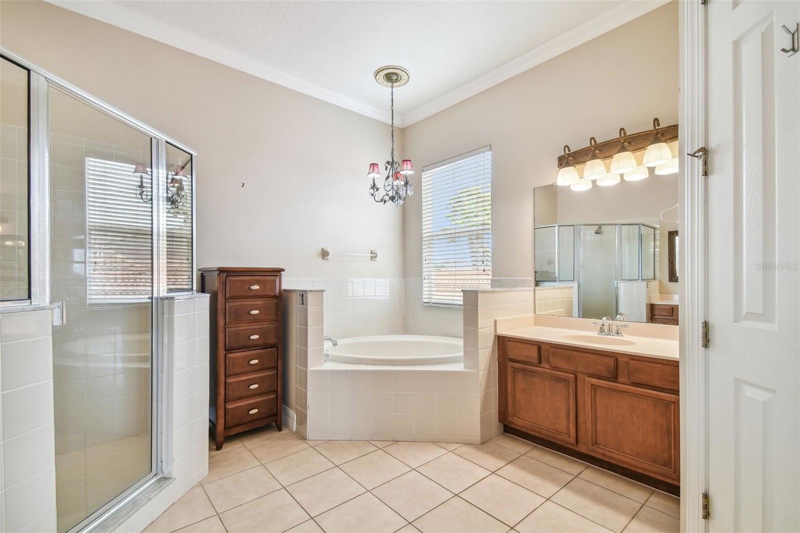 Image 49 of 79 For 18022 Cozumel Isle Drive