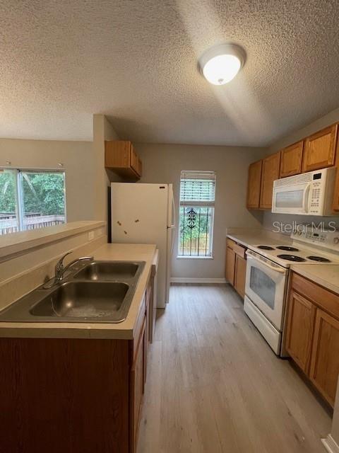 Listing photo id 9 for 4617 Ashburn Square Drive