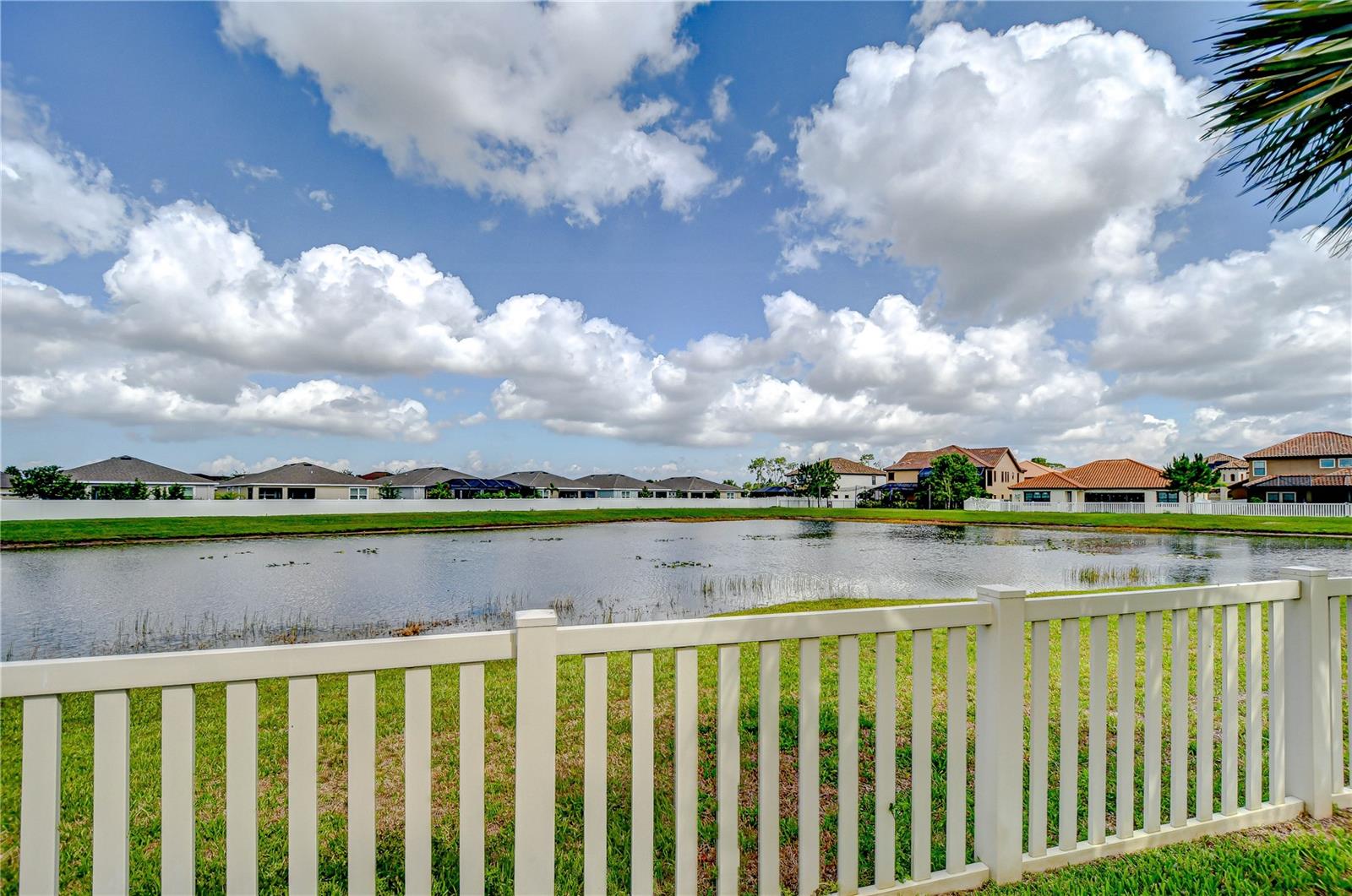 Image 43 of 52 For 13111 Bahia Grass Lane