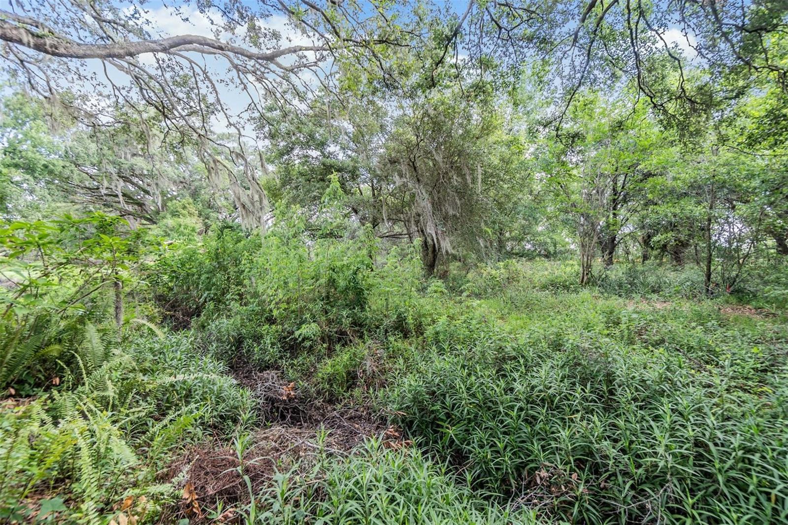 Listing photo id 32 for 3542 Castle Drive