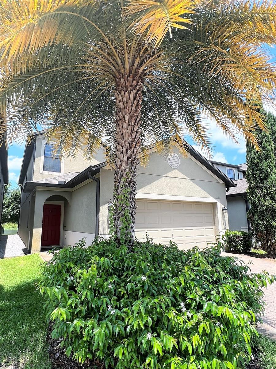 Details for 1221 Ballard Green Place, BRANDON, FL 33511
