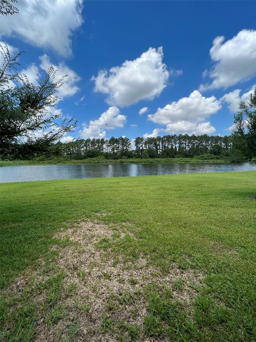 Listing photo id 29 for 1221 Ballard Green Place