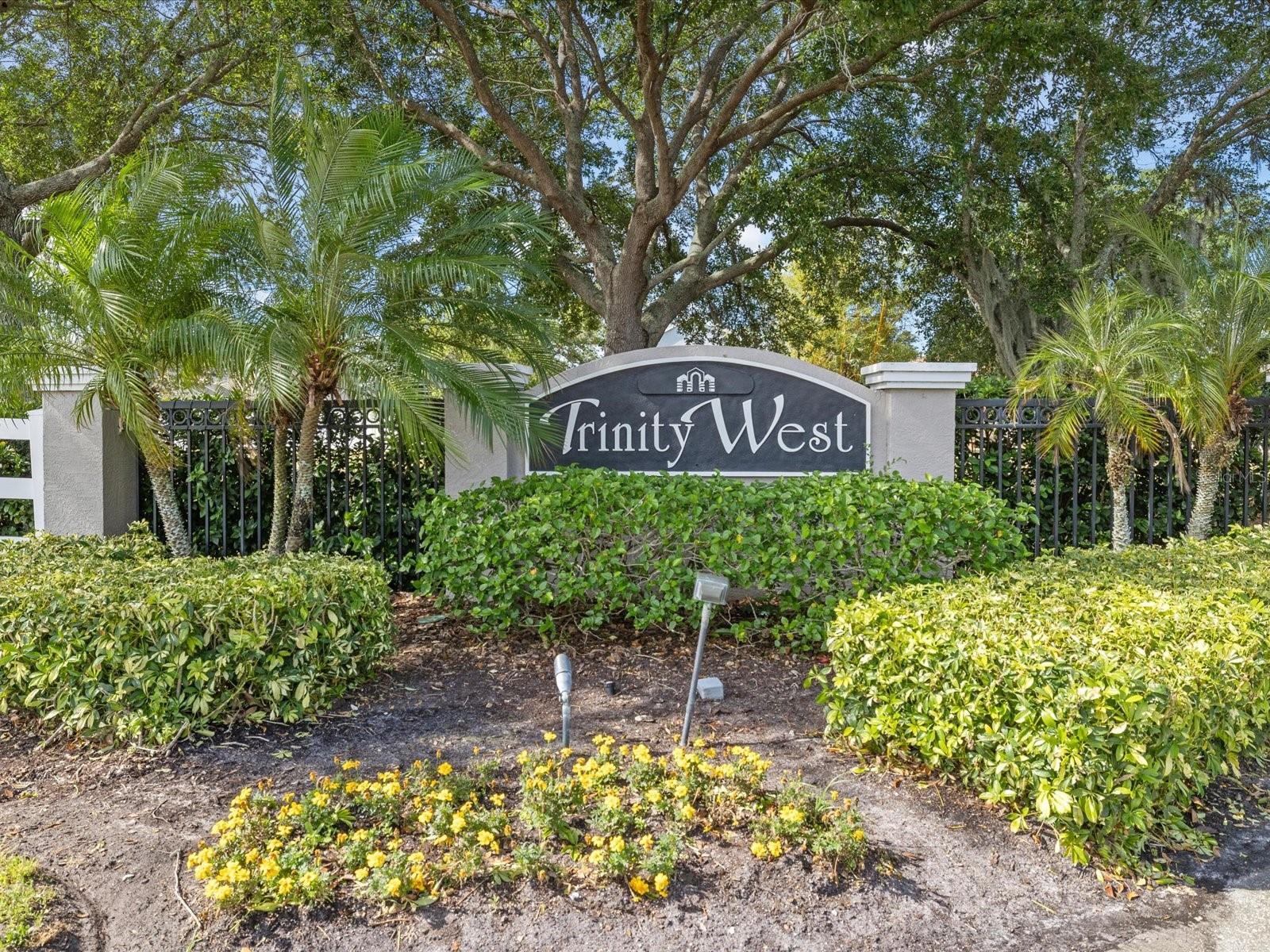 Image 47 of 55 For 7935 Calindra Court