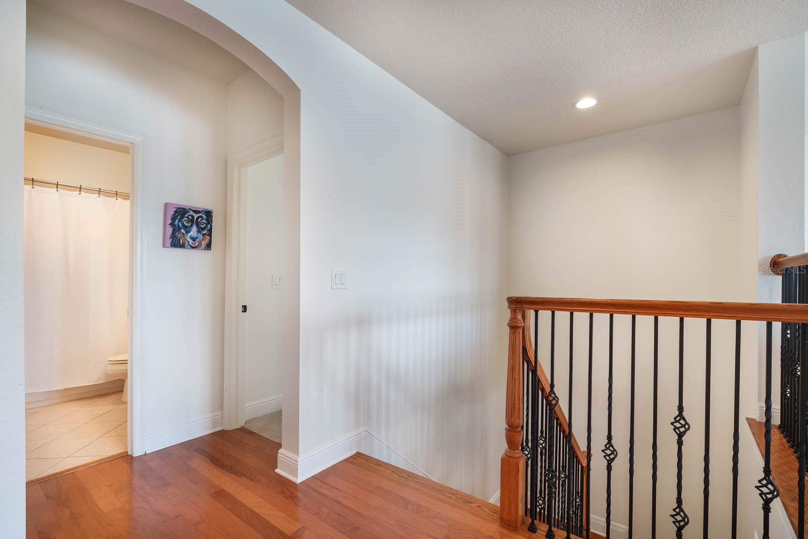 Image 40 of 73 For 16170 Colchester Palms Drive