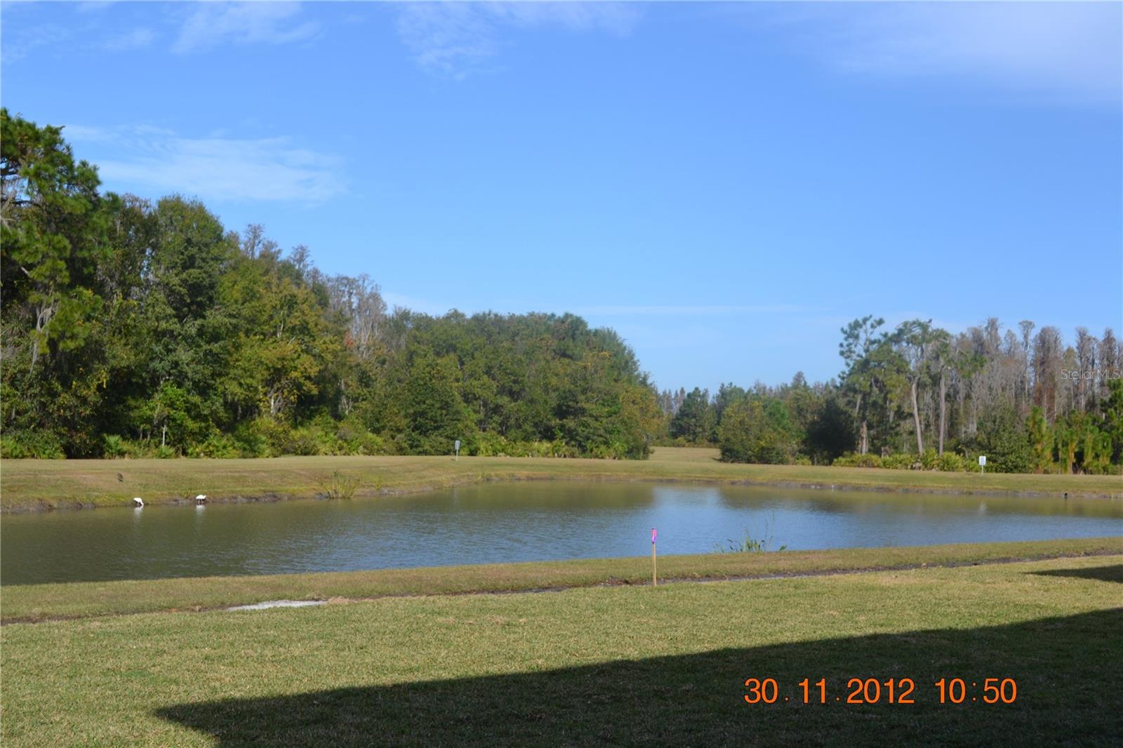 Image 3 of 14 For 20420 Carolina Cherry Court