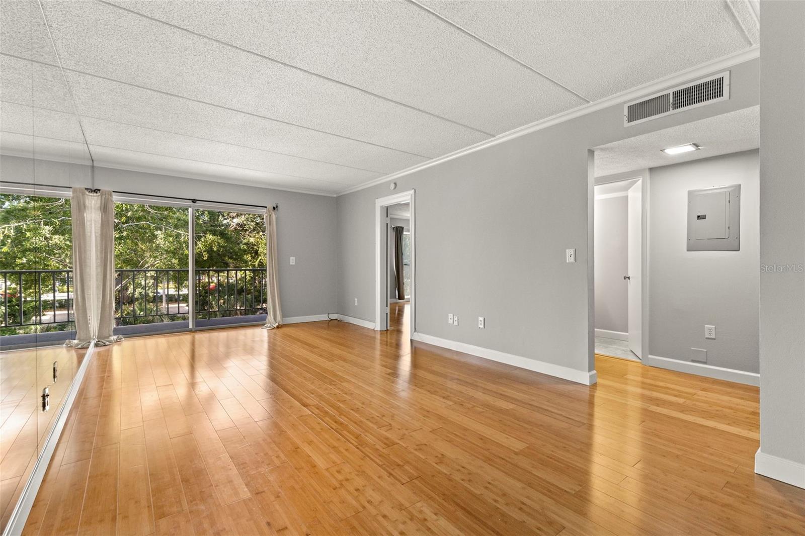 Image 12 of 25 For 3325 Bayshore Boulevard C36