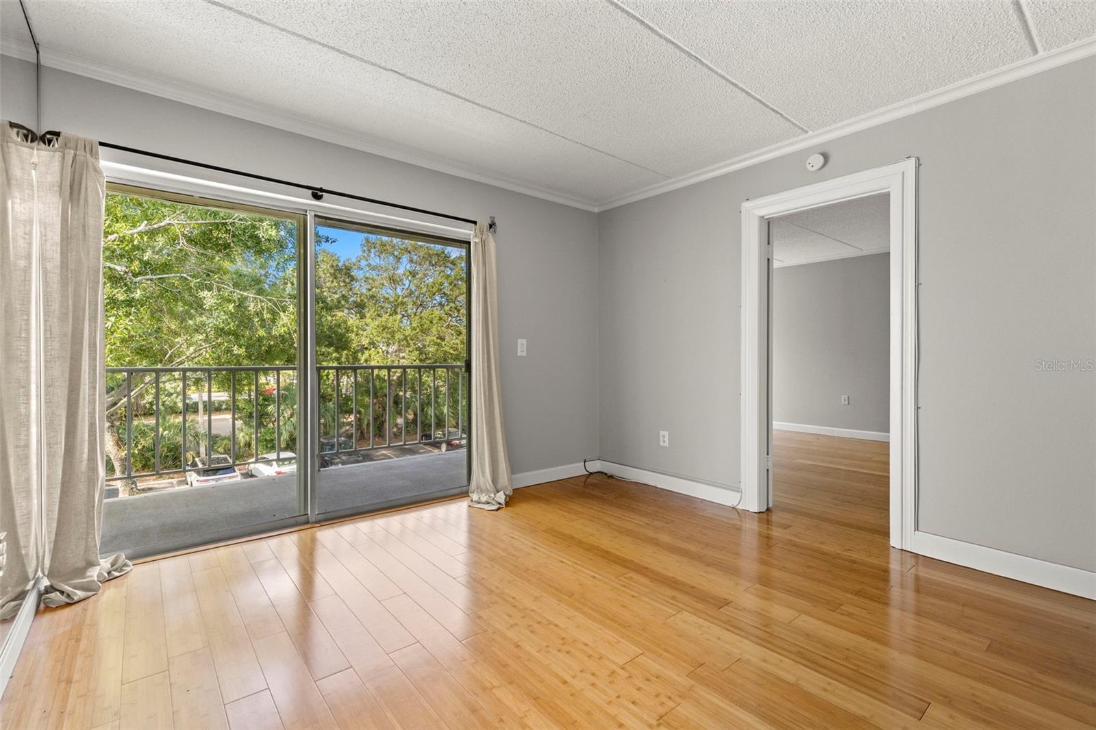 Image 14 of 25 For 3325 Bayshore Boulevard C36