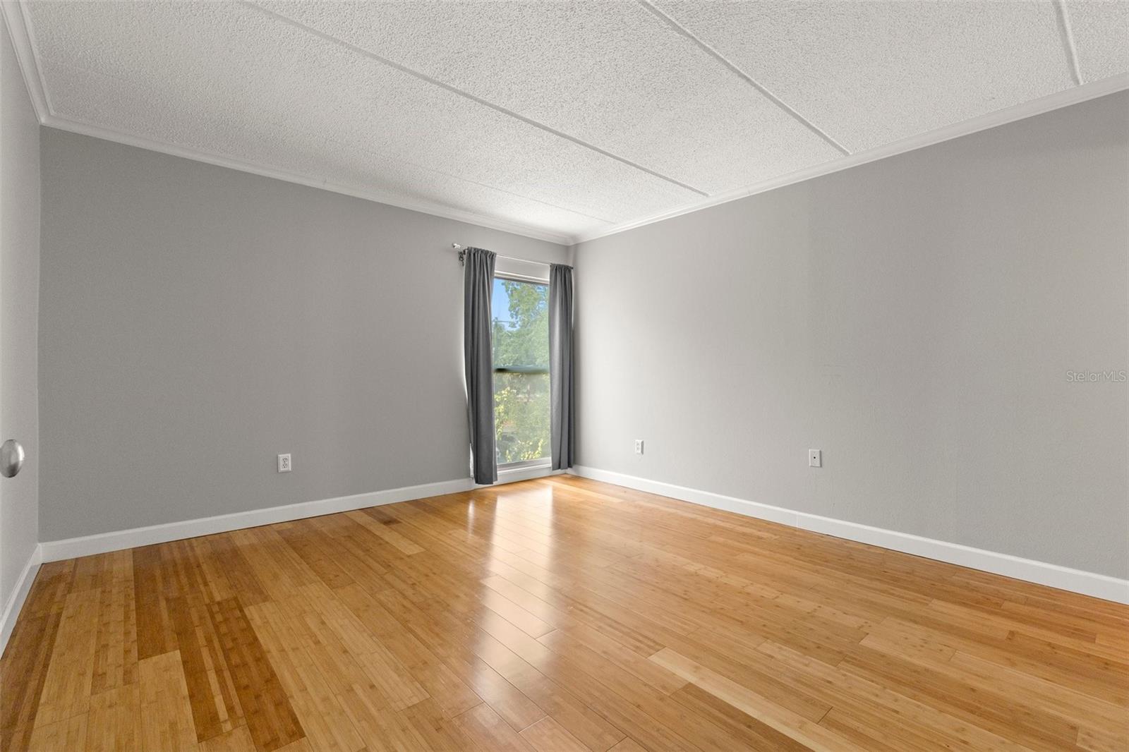 Image 15 of 25 For 3325 Bayshore Boulevard C36
