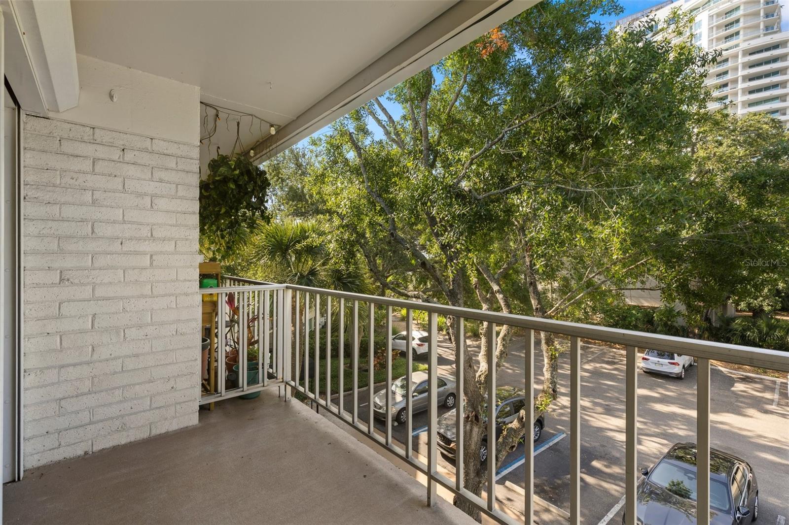 Image 18 of 25 For 3325 Bayshore Boulevard C36