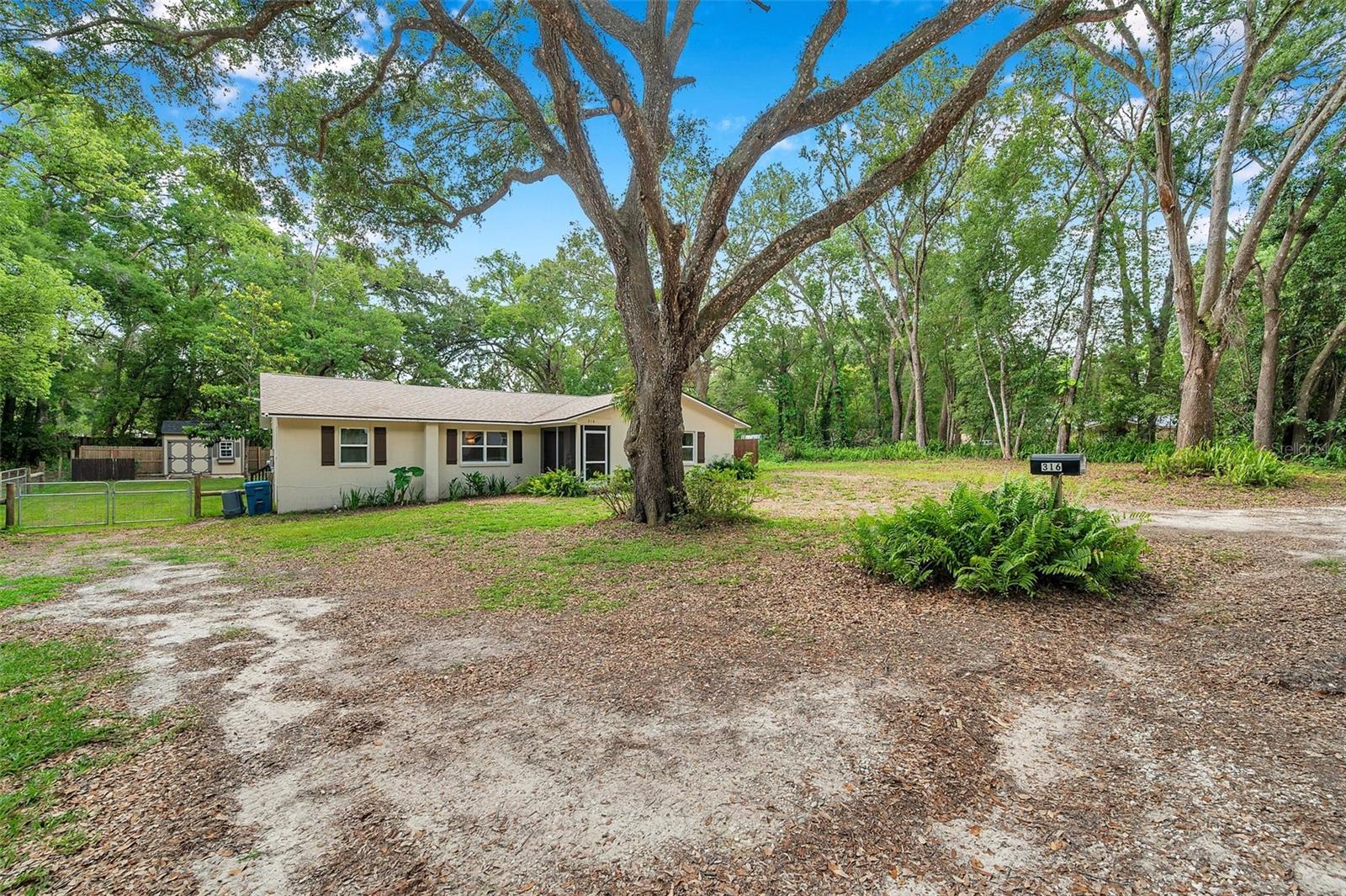 Listing photo id 3 for 316 Jenkins Avenue