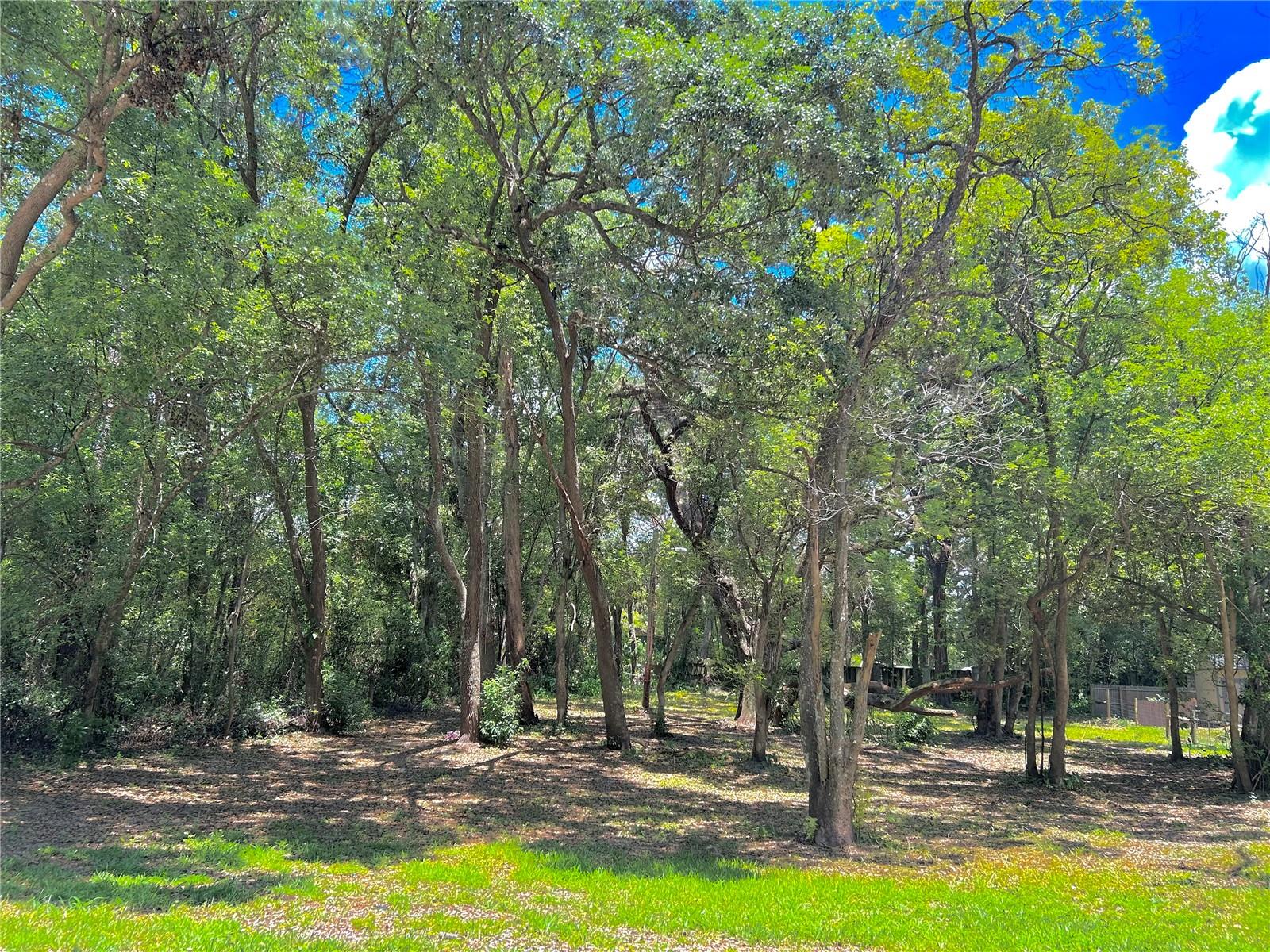 Listing photo id 4 for 316 Jenkins Avenue