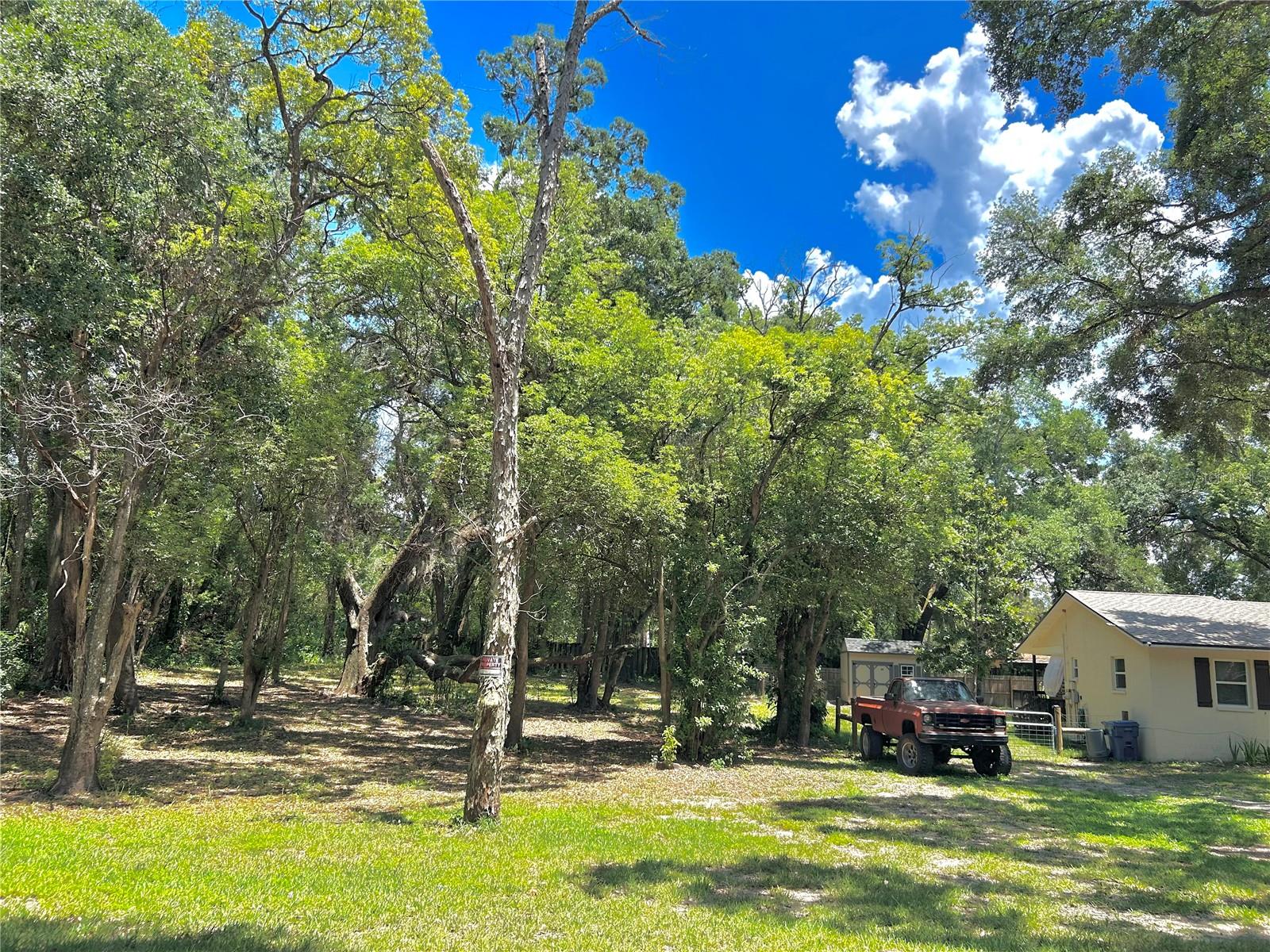 Listing photo id 5 for 316 Jenkins Avenue
