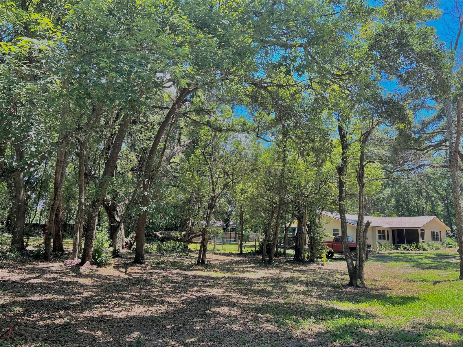 Listing photo id 6 for 316 Jenkins Avenue