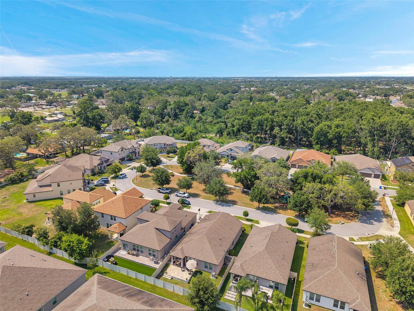 Image 37 of 41 For 11314 American Holly Drive