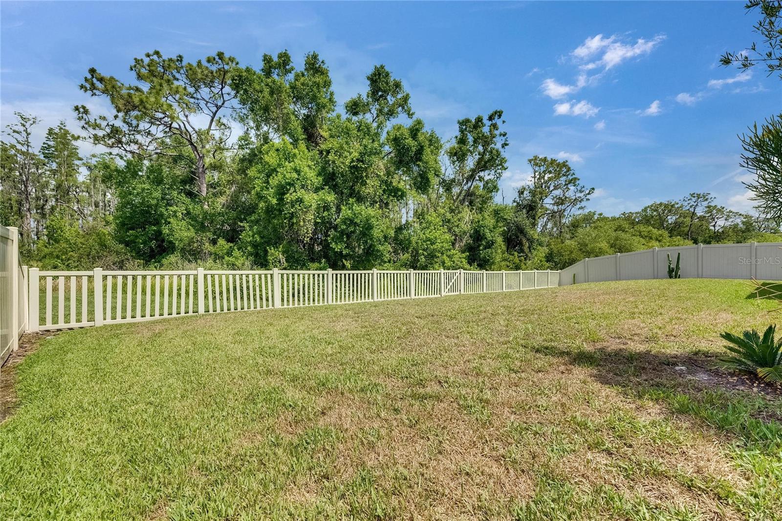 Image 43 of 46 For 5057 Ivory Stone Drive