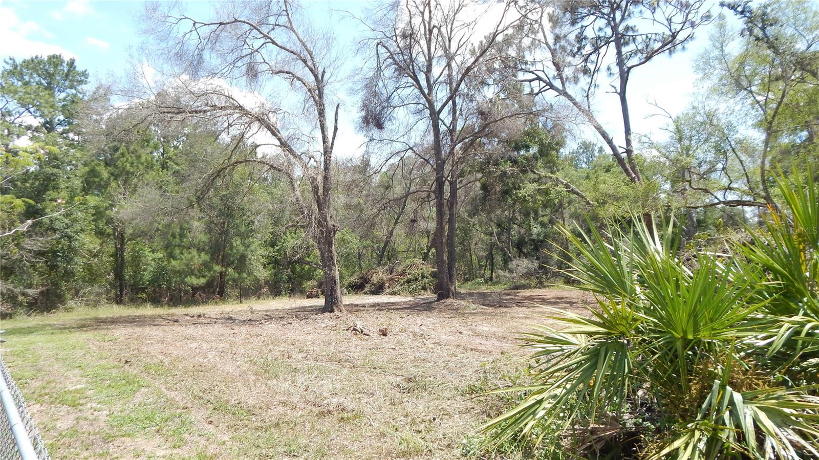 Listing photo id 50 for 5287 Azalea Circle