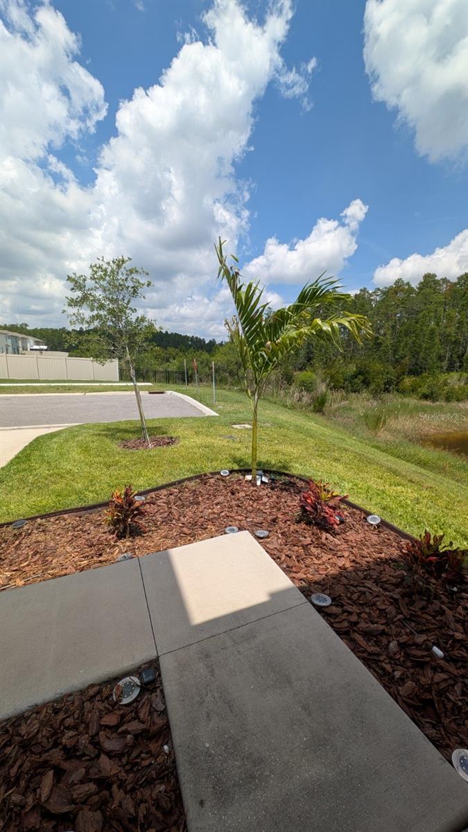 Image 14 of 31 For 3446 Suncoast Plains Drive