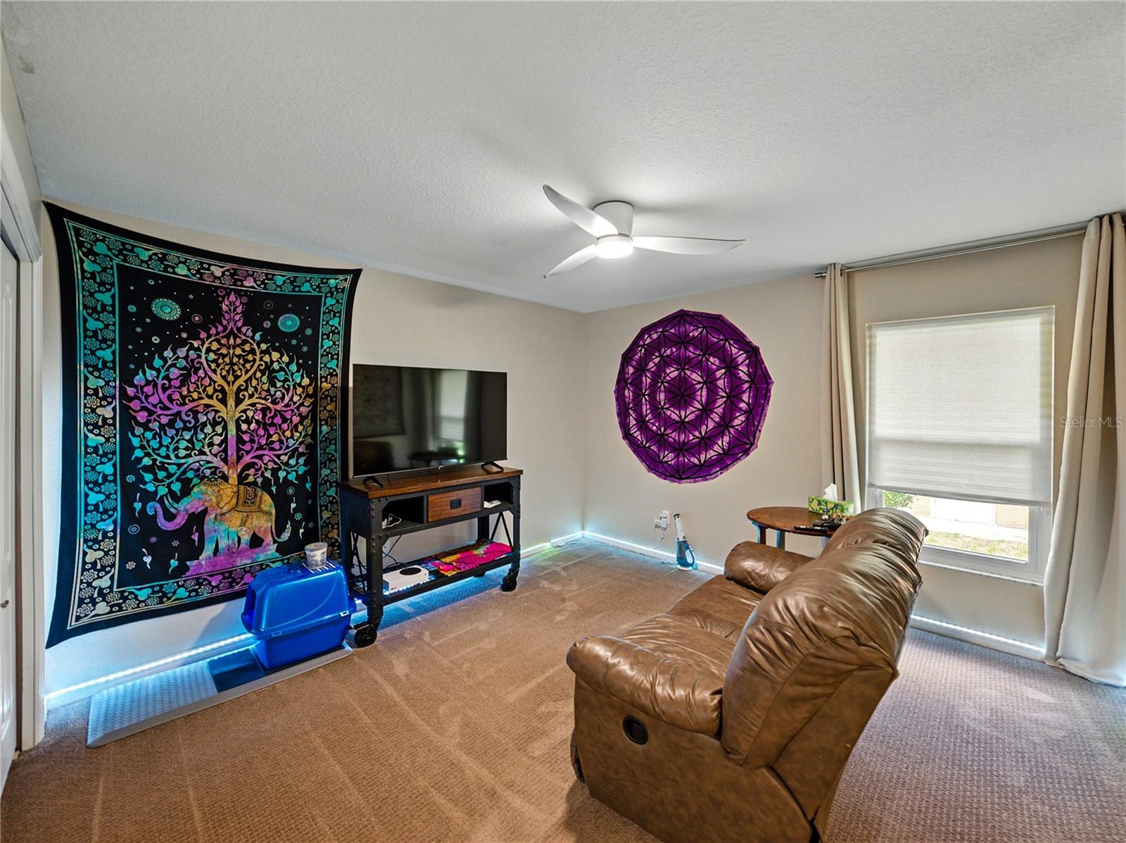 Image 16 of 34 For 3909 Valrico Grove Drive