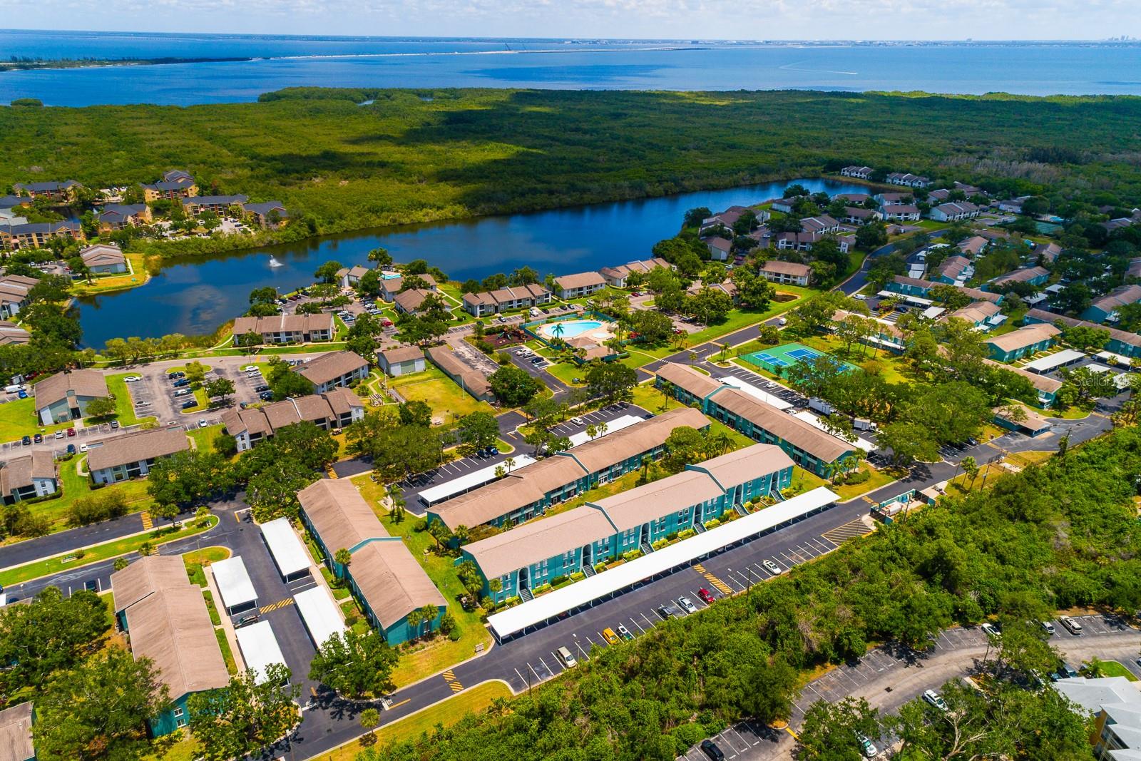 Details for 255 114th Avenue N 4, ST PETERSBURG, FL 33716