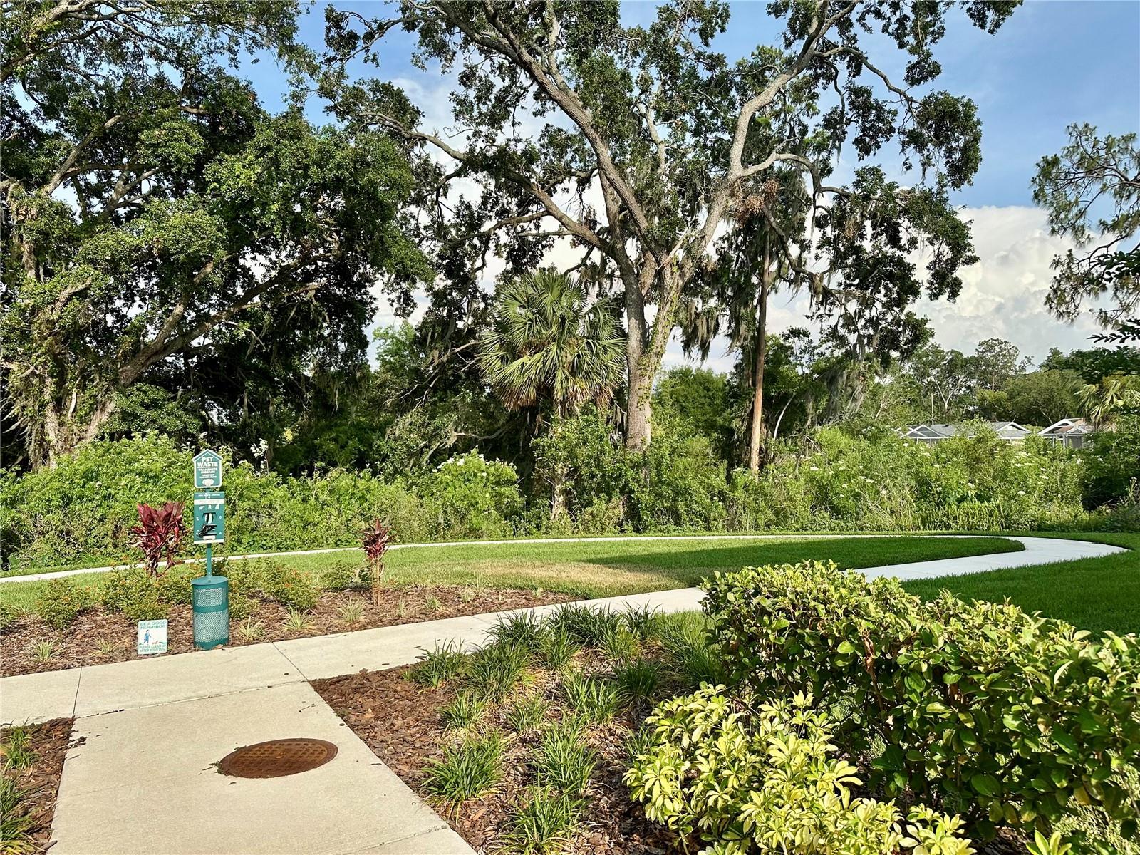 Image 27 of 29 For 2717 Chestnut Creek Place