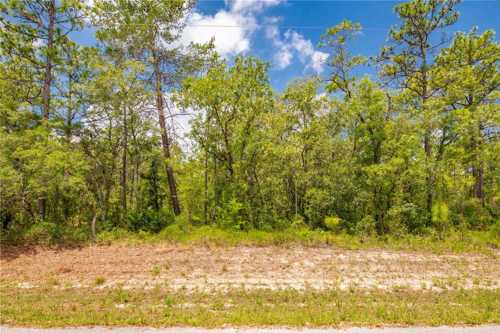 Details for 16295 Mount Sparrow Road, WEEKI WACHEE, FL 34614