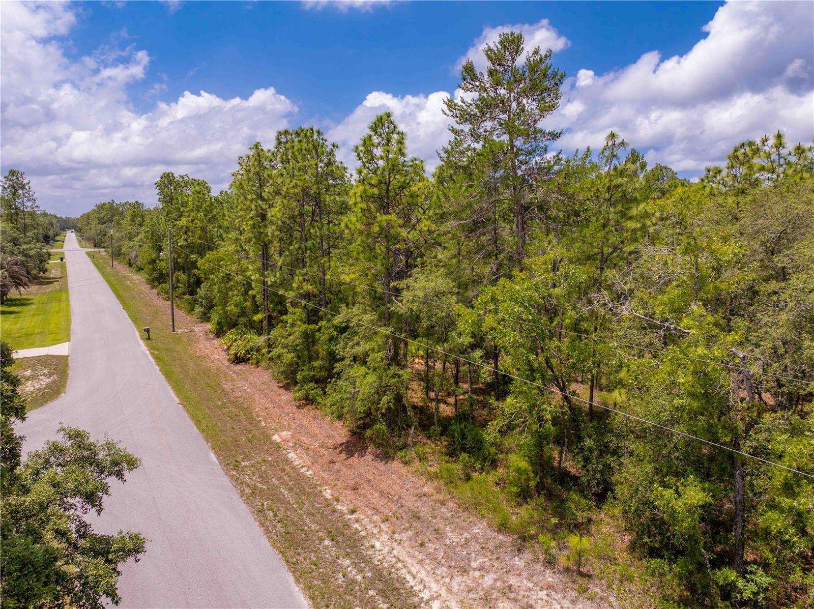 Image 13 of 13 For 16295 Mount Sparrow Road
