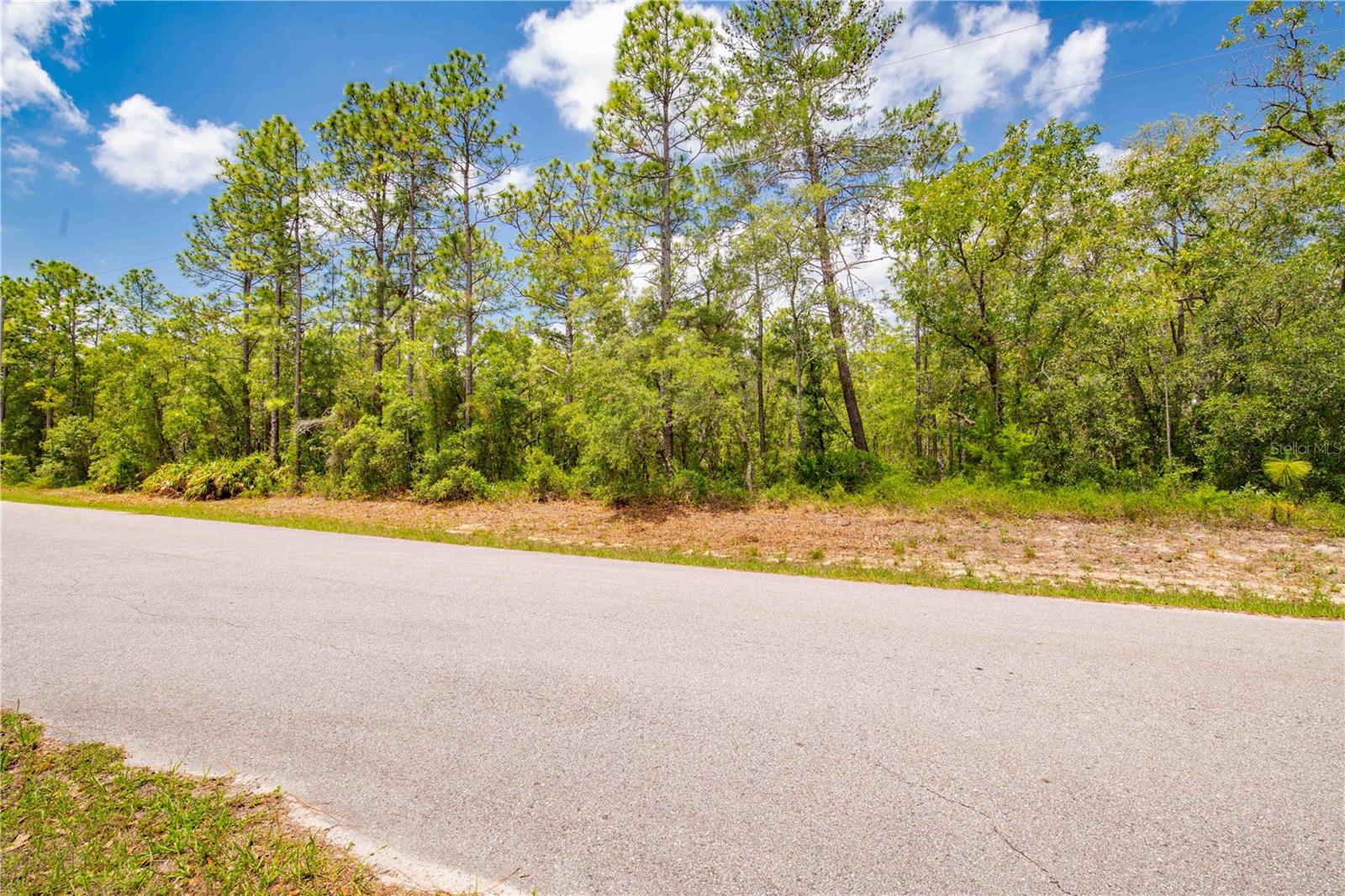 Image 3 of 13 For 16295 Mount Sparrow Road