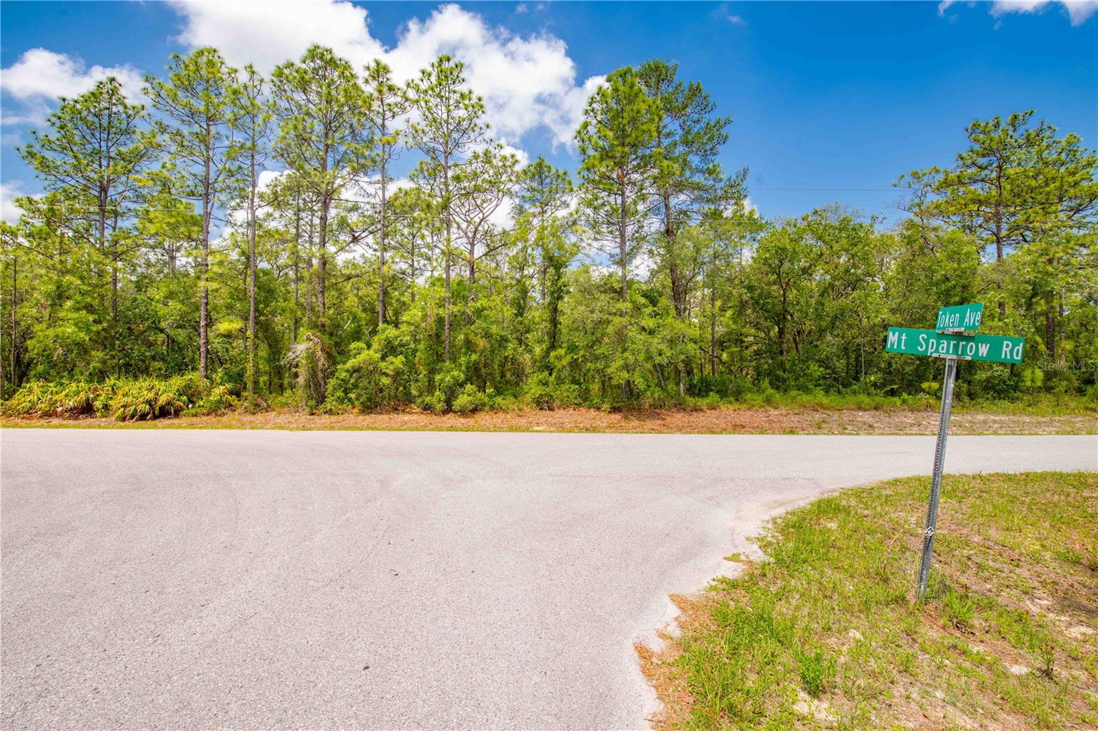 Image 5 of 13 For 16295 Mount Sparrow Road