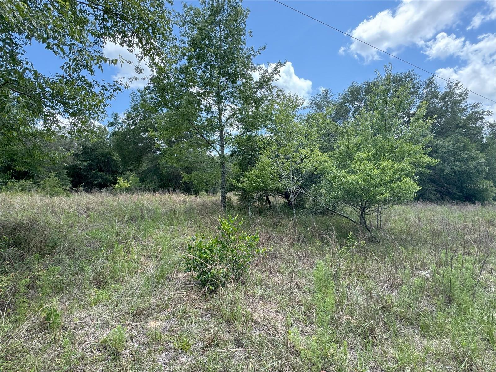 Details for 2211 Madison Street, INVERNESS, FL 34453