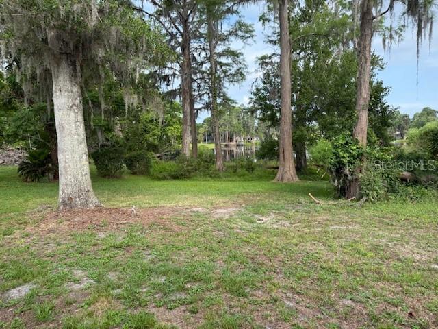 Image 4 of 5 For 19350 Dale Mabry Highway