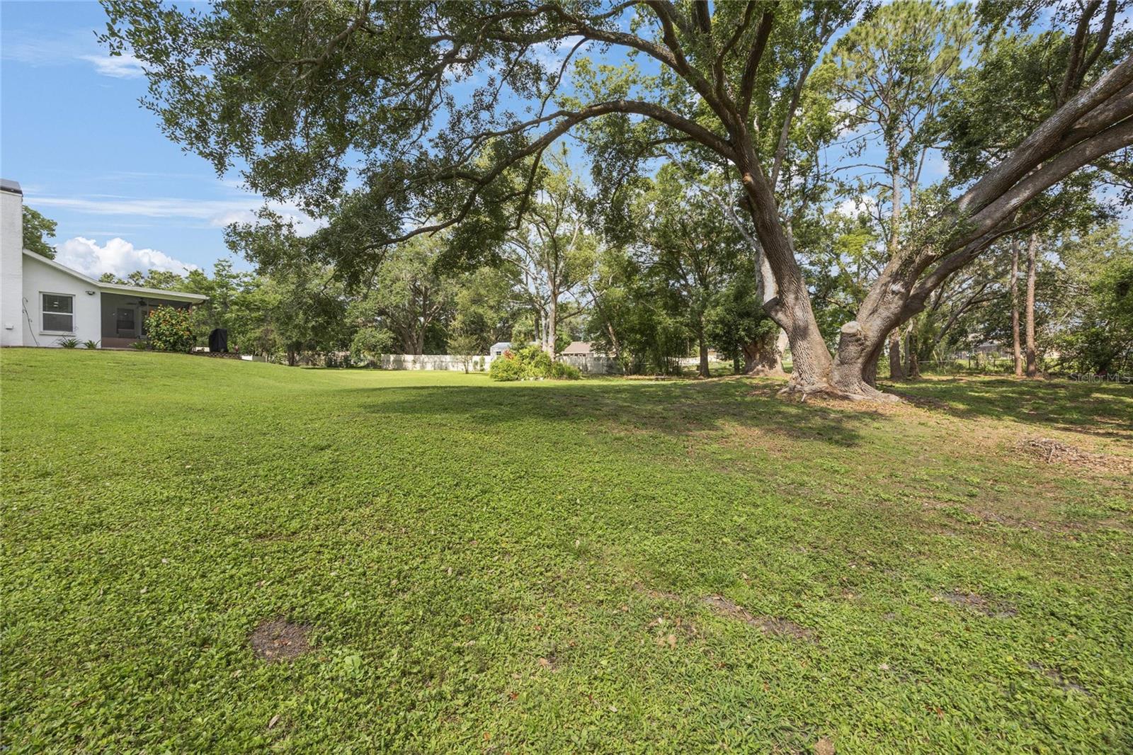 Listing photo id 39 for 5933 Carina Trace
