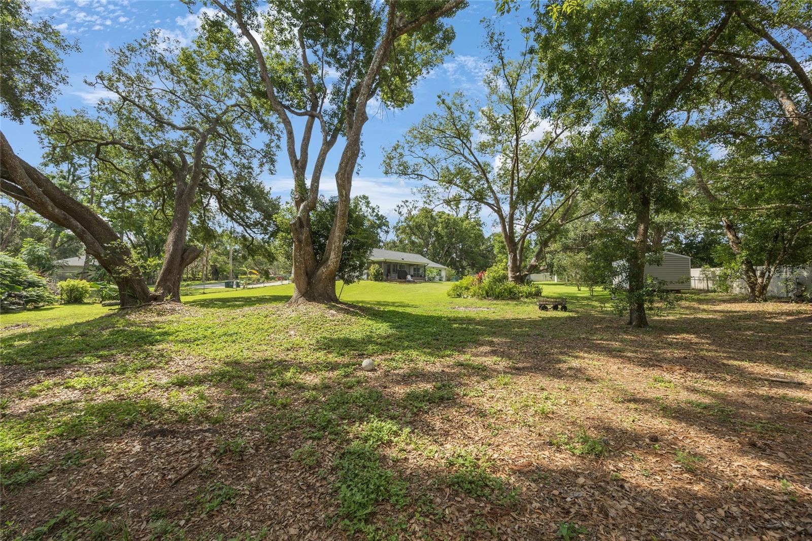 Listing photo id 40 for 5933 Carina Trace