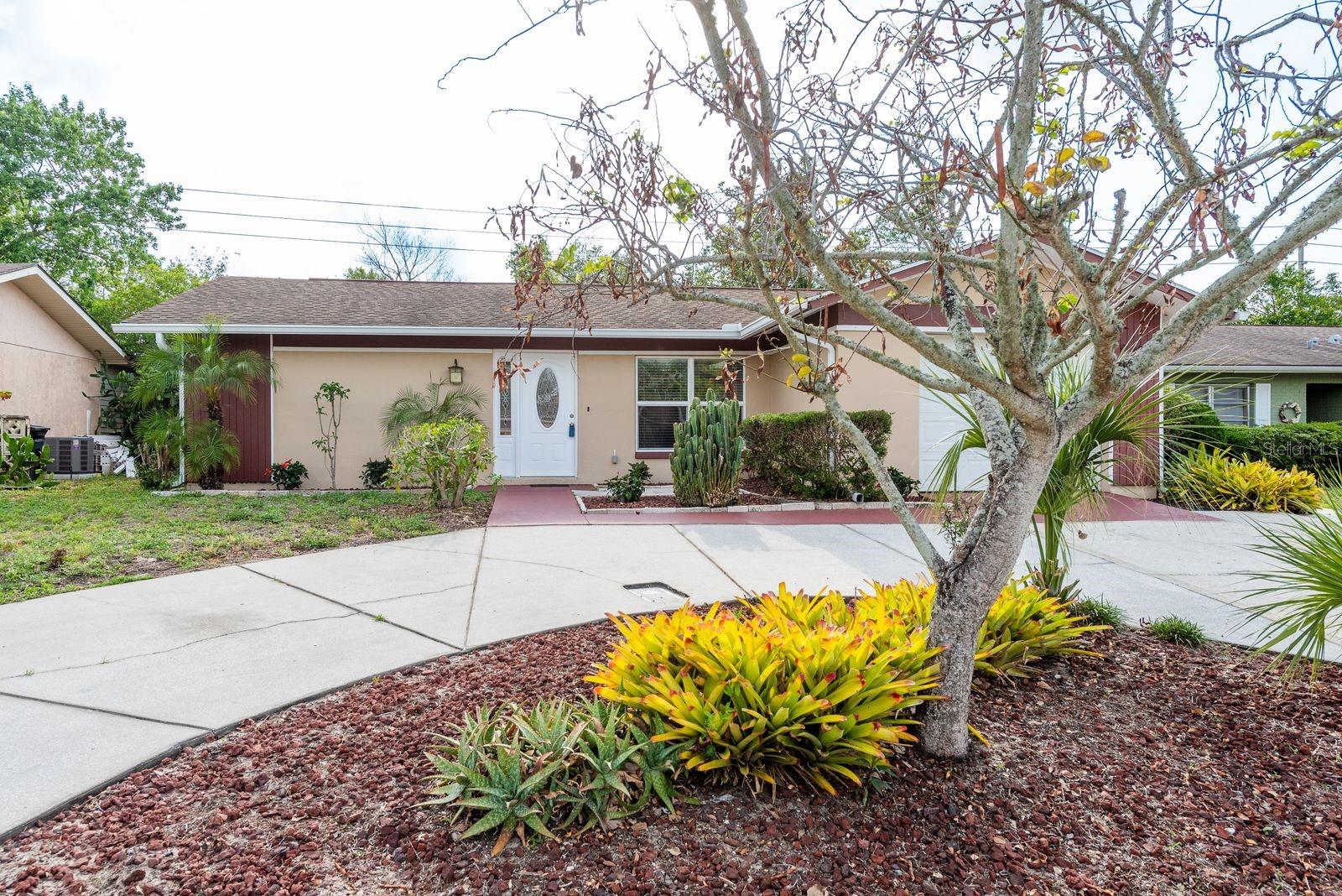 Details for 10841 Casa Grande Avenue, PORT RICHEY, FL 34668