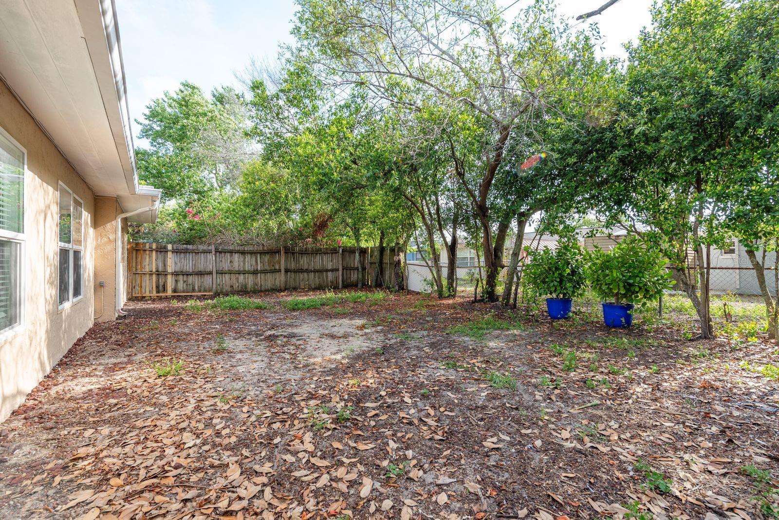 Listing photo id 20 for 10841 Casa Grande Avenue