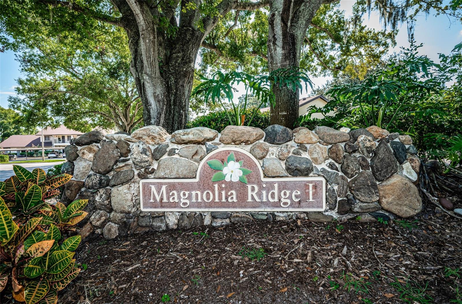 Image 48 of 61 For 3500 Magnolia Ridge Circle 405