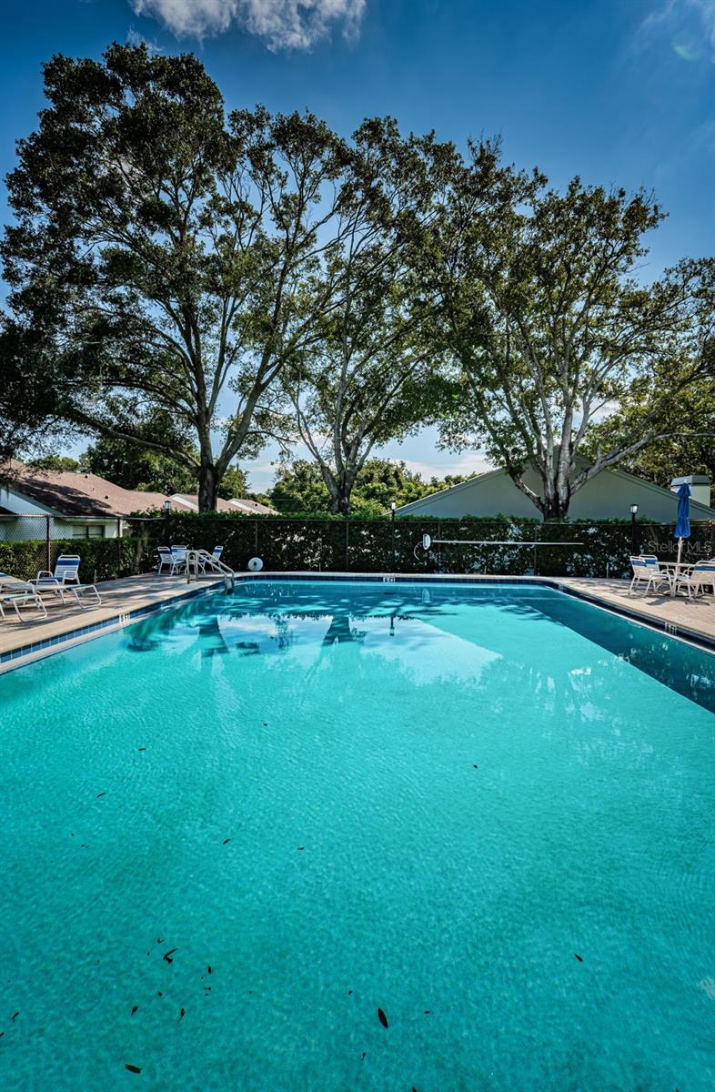 Image 53 of 61 For 3500 Magnolia Ridge Circle 405