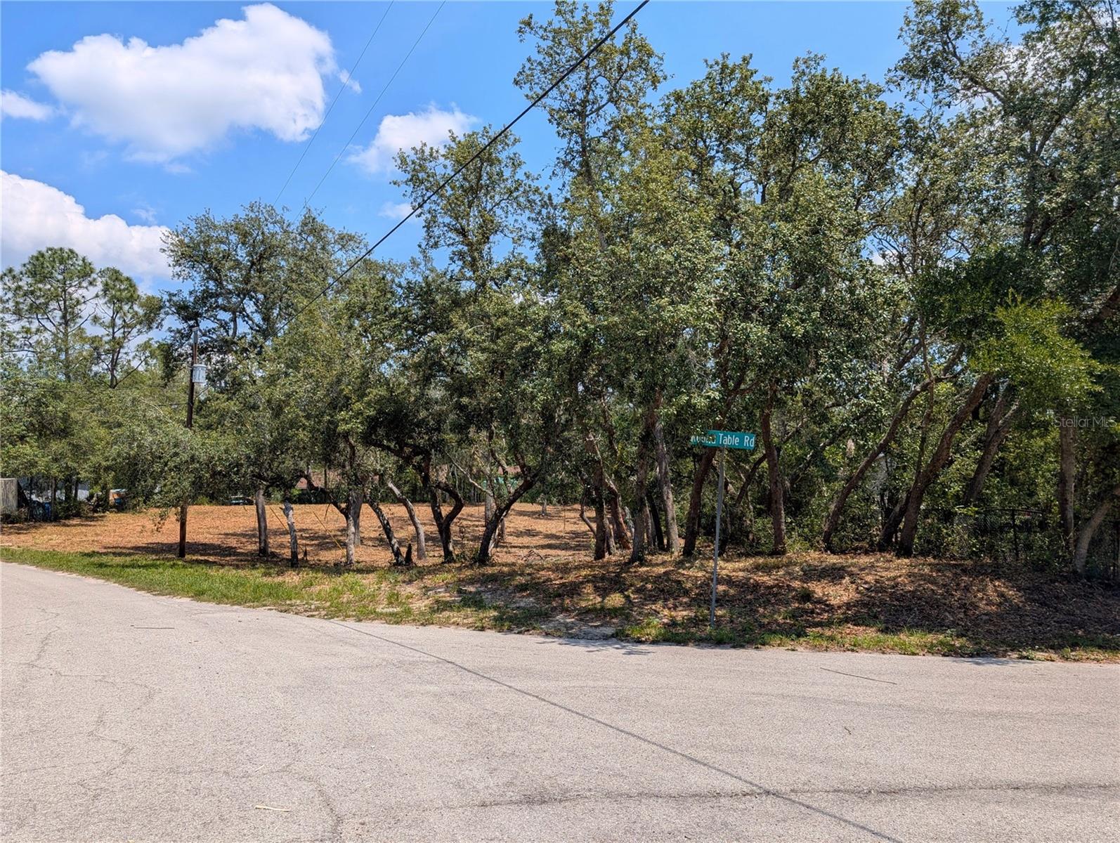 Details for 0 Merlin Circle, DADE CITY, FL 33523
