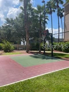 Image 5 of 29 For 8303 Palm Parkway 122