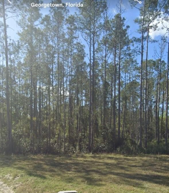 Details for 125 Pine Cone Drive, GEORGETOWN, FL 32139