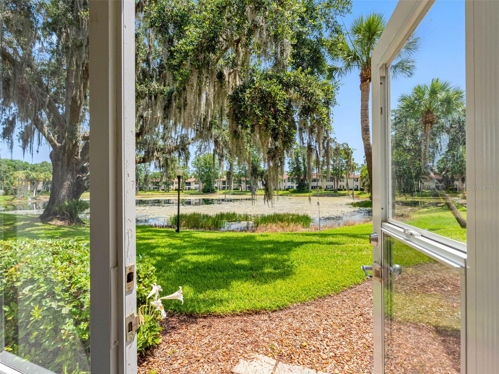 Image 18 of 32 For 10356 Carrollwood Lane 204