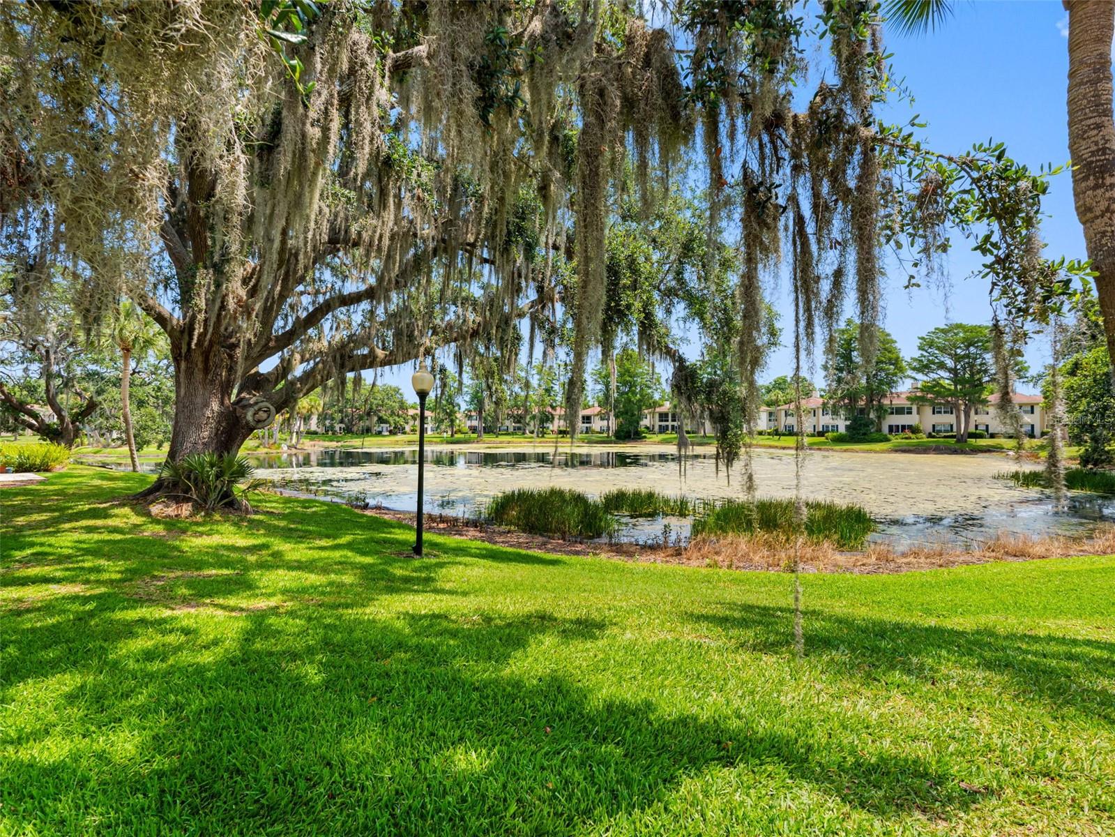 Image 19 of 32 For 10356 Carrollwood Lane 204