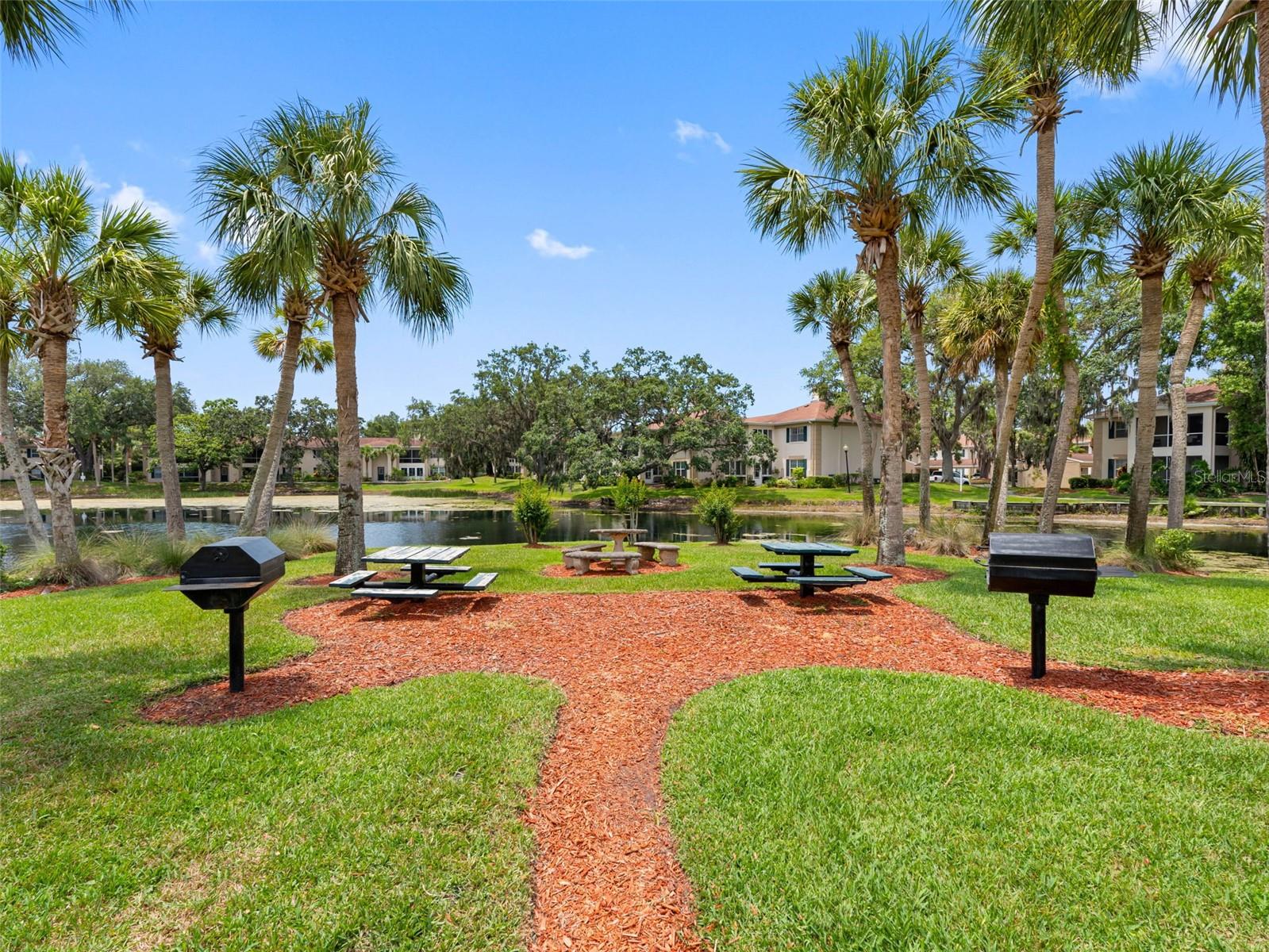 Image 29 of 32 For 10356 Carrollwood Lane 204