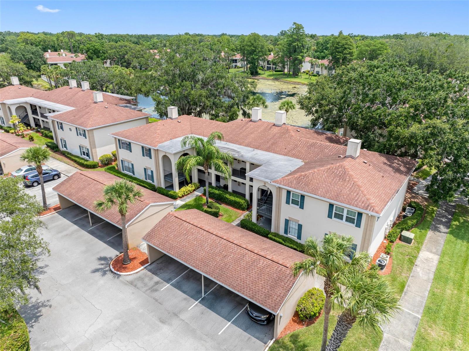 Image 30 of 32 For 10356 Carrollwood Lane 204