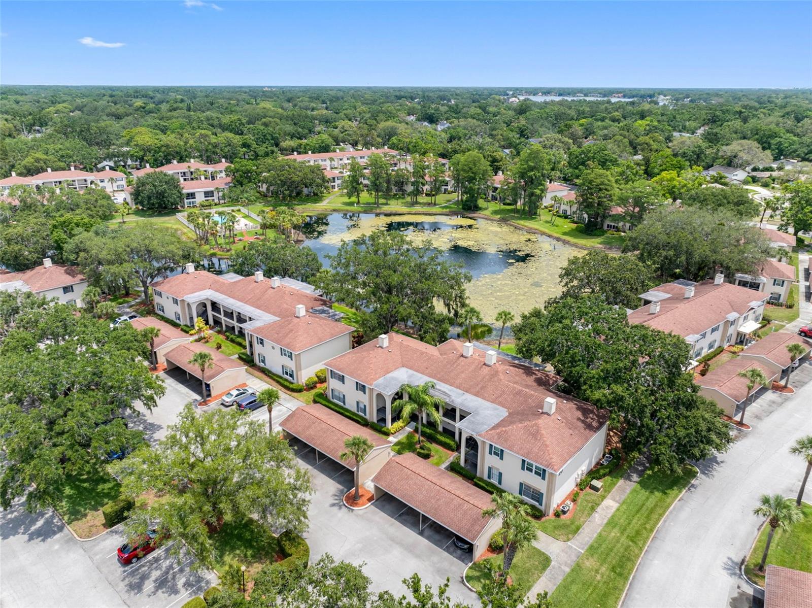 Image 31 of 32 For 10356 Carrollwood Lane 204