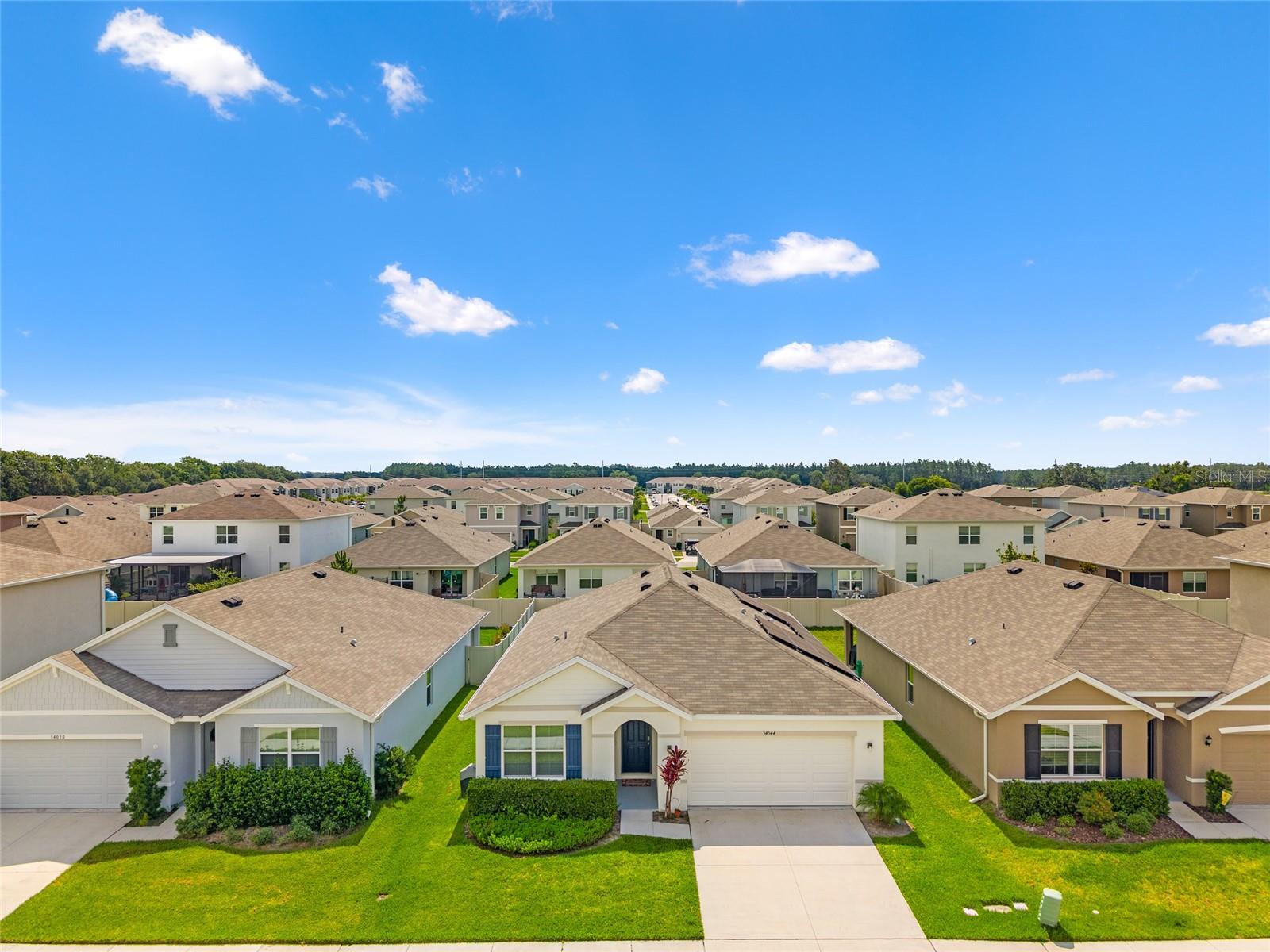 Details for 34044 Sorrel Mint Drive, WESLEY CHAPEL, FL 33543
